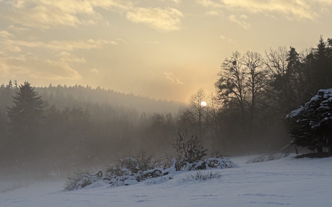 Warum viele Menschen heute die Verbindung zur Natur verlieren – und warum das kein Zufall ist