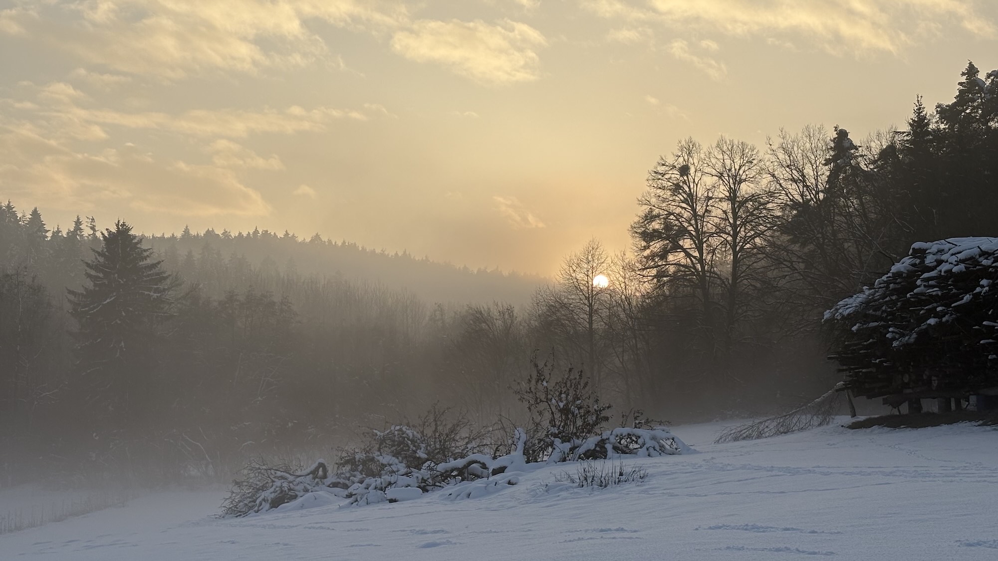 Sonnenuntergang hinter Bäumen bei Schneelage